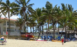 pláž a palmy