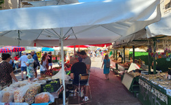 Split - Gradska tržnica u Diokleciánova paláce