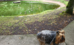 Kolobrzeg - Park Jednosci Narodowe