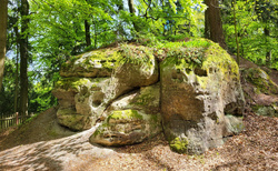 Hruboskalsko - Arboretum