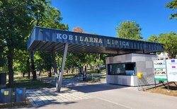 Kobilarna Lipica