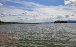Oravská přehrada - ptačí ostrov
