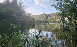 Brljansko jezero