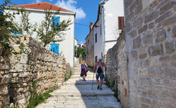 Otok Zlarin