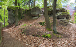 Hruboskalsko - Arboretum