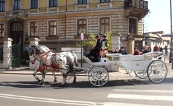 Krakov - Koňský kočár pod Wawelem