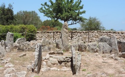 Arzachena - Parco Archeologico - Necropolis of Li Muri