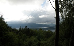Loch Lomond - okolní lesy
