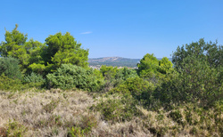 Rogoznica - cesta na vyhlídku nad Zmajevo oko