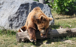 ZOO kontakt Liptovský Mikuláš