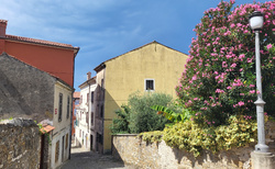 Izola