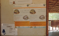 Ifaty - Národní rezervace Reniala - Záchranná stanice pro želvy paprsčité
