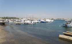 Paphos - přístav
