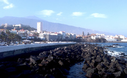 Pohled na město  Puerto de la Cruz