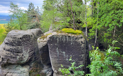 Hruboskalsko - Arboretum