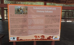 Ifaty - Národní rezervace Reniala - Záchranná stanice pro želvy paprsčité