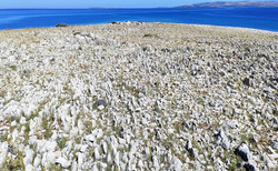 Kamenné more na polostrove Rastavac.