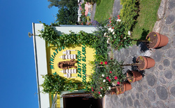 Muzeum