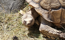 ZOO kontakt Liptovský Mikuláš