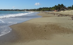 pláž a Karibik