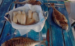 Čerstvé grilované ryby