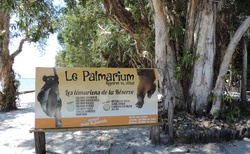 Le Palmarium Reserve
