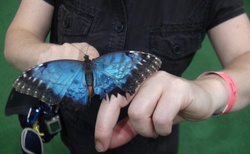 Motýlí zahrada - ZOOKontakt Liptovský Mikuláš