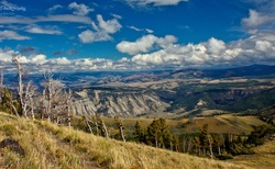 Pohled na Yellowstone NP z Mt. Washburn