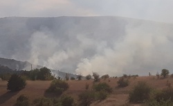 Severní Makedonie - požáry