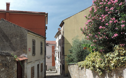 Izola