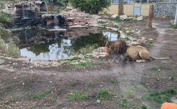 Malkia Park Orechová Potoň