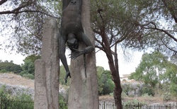 Sicílie _ Sirakusa - Parco archeologico della Neapoli - Prometheus