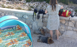 Murter - koupání na psí pláži