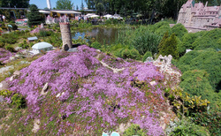 Rozhledna