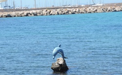 Porto Torres - delfín
