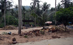 Zbytky kokosových ořechů po sloupání