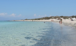 Chrysi - Golden beach