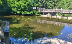 Jama Postojna - cesta od parkoviště k jeskyni