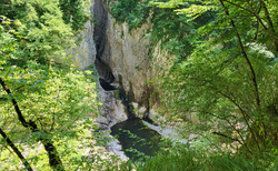 Škocjanske jame - východ Velika dolina