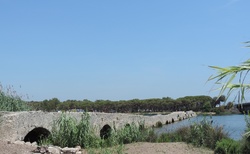 Fertilia - Ponte Romano