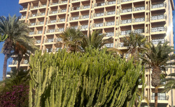 Hotel Orotava