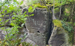 Hruboskalsko - Arboretum