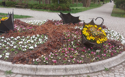 Park