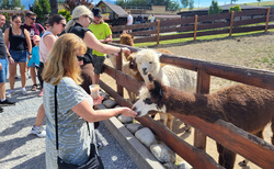 ZOO kontakt Liptovský Mikuláš