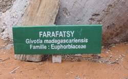 Ifaty - Národní rezervace Reniala