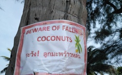 Pozor na padající kokosy