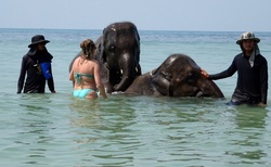 Koupání se slony, nejlepší způsob setkání se slony