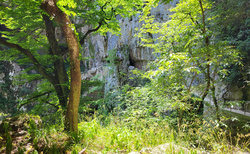 Škocjanske jame - východ Velika dolina