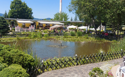 Muzeum