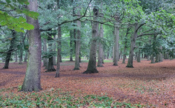 Kolobrzeg - Park Teatralny